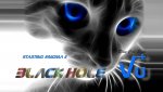 logo_gatto.jpg